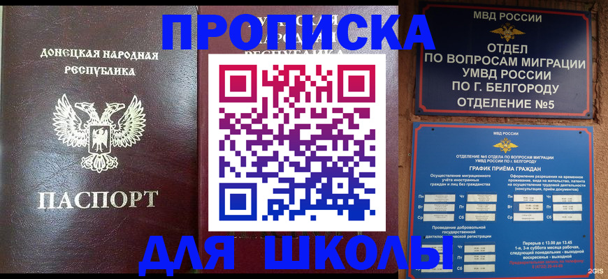прописка для работы в Купино